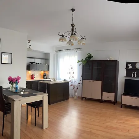 Center Apartment Płock